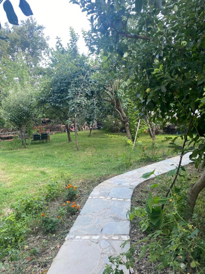Xho'S Forest Guest House 베라트 외부 사진
